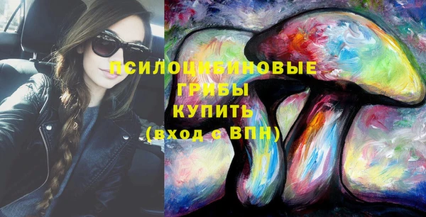 apvp Богданович
