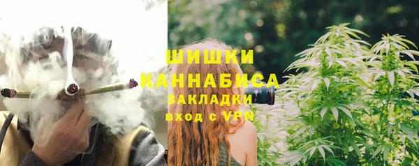 apvp Богданович
