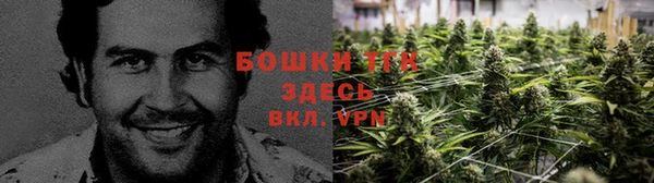 метадон Белоозёрский