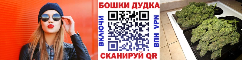 Канабис Bruce Banner  Кизляр 
